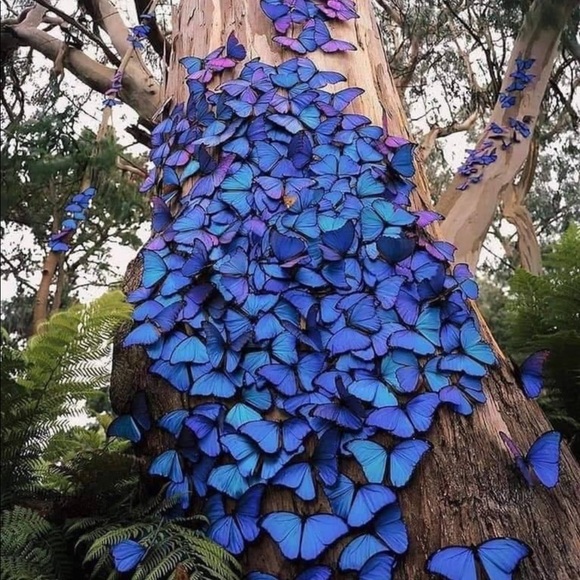 π - Picture 4 of 16